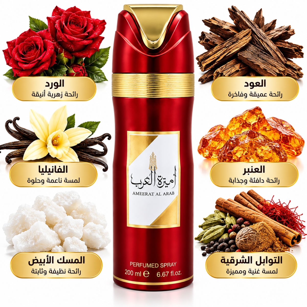 Ameerat al arab أميرة العرب