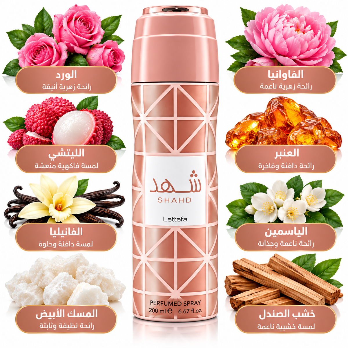 Shahd شهد